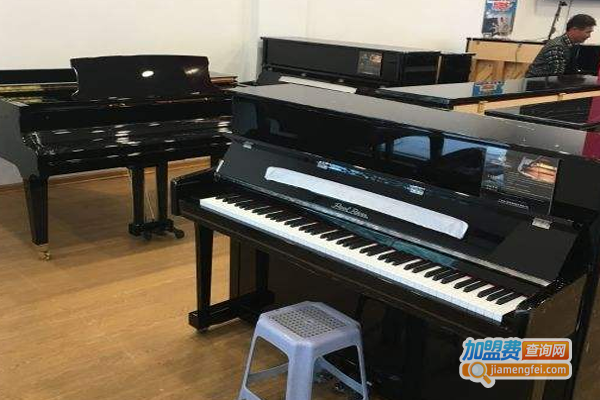 汇星琴行加盟费