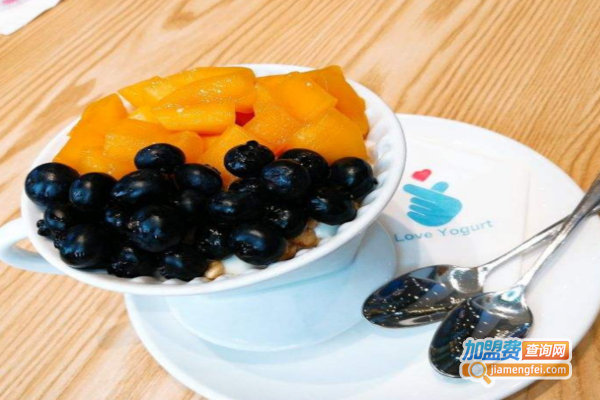 love yogurt青藏酸奶加盟费