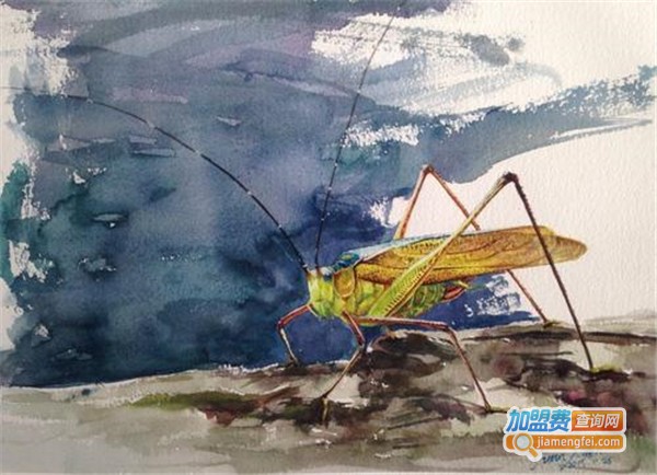 北上画室加盟费