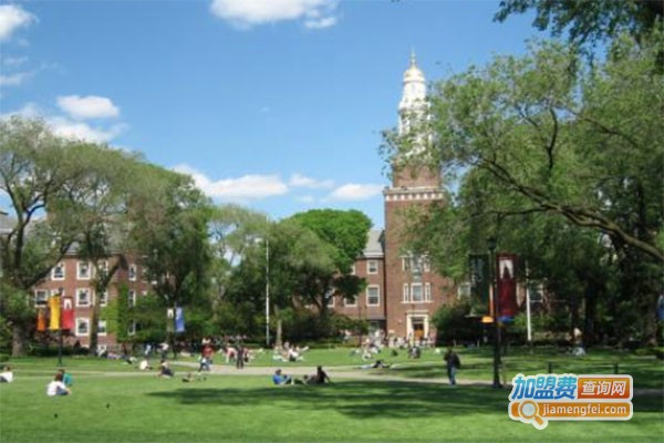 纽斯达国际教育