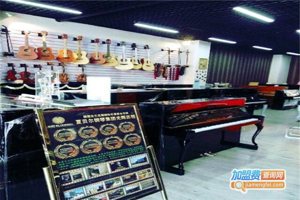 泽音琴行加盟费