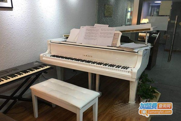唯艺成人钢琴加盟费