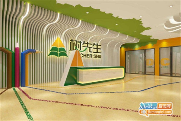 树先生教育加盟费