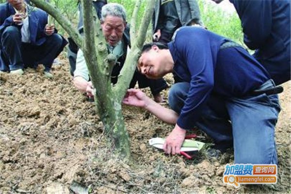 林业技术培训中心加盟费