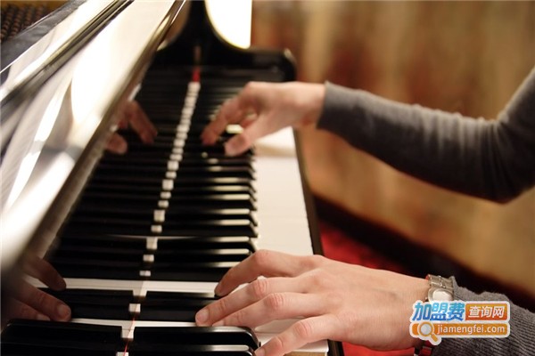 菠萝琴行加盟费