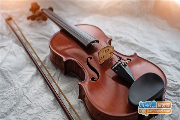 春芽书法小提琴培训中心加盟费