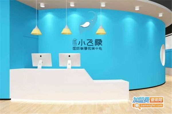 小飞象国际高端钢琴学校加盟费