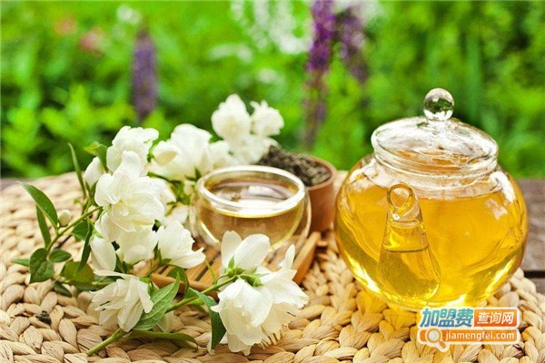 fuku matcha加盟费