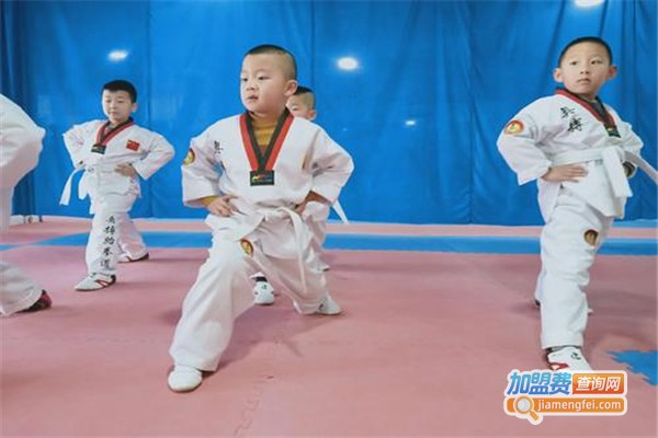 奥搏跆拳道加盟费