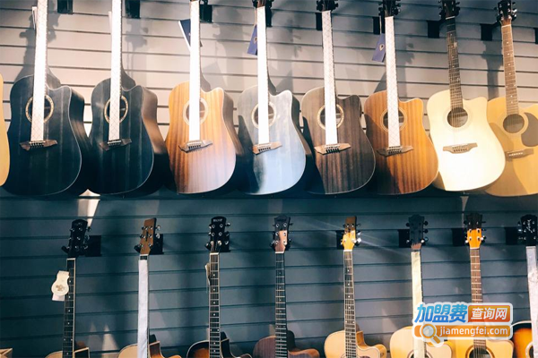 艺嘉琴行加盟费