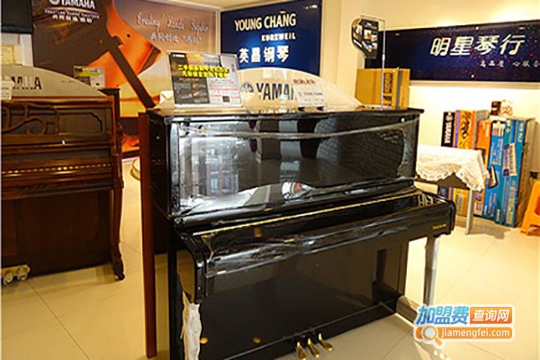 明星琴行加盟