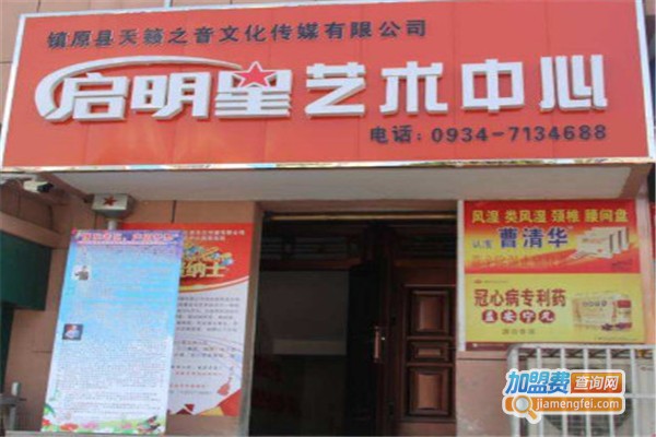 启明星艺术加盟费