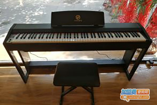 馨韵琴行加盟费