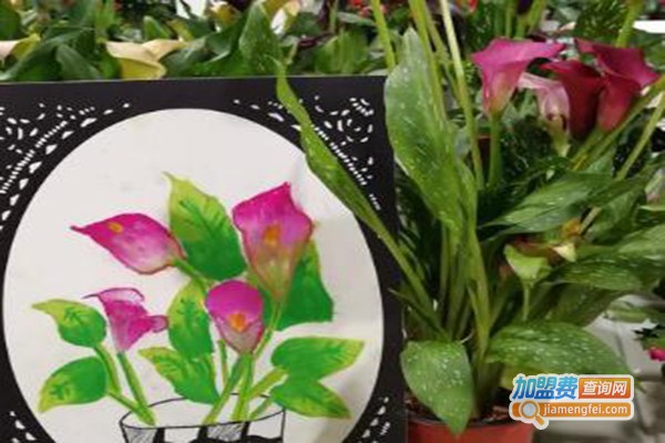 新希望美术加盟费