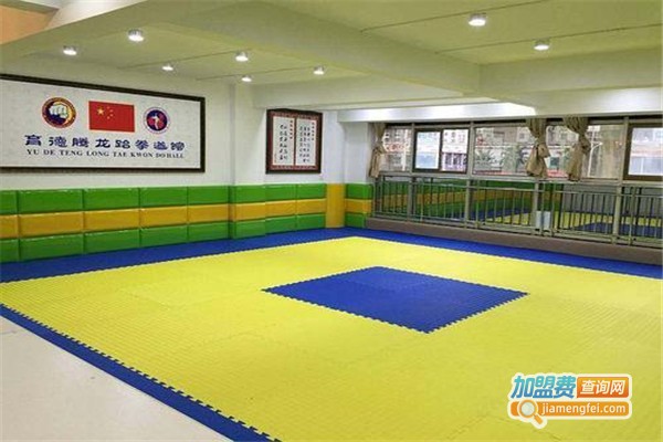 育德腾龙跆拳道加盟费