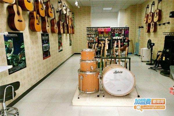 乐动琴行加盟费