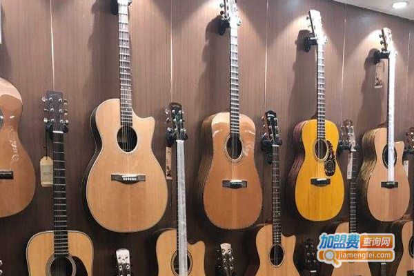 艺嘉琴行加盟