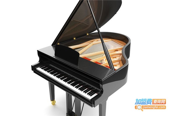 音悦家琴行加盟费