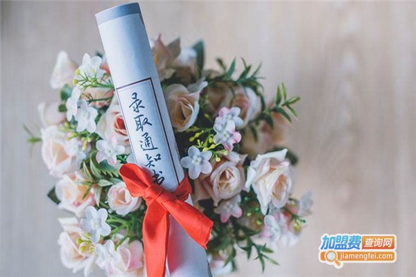 飞环文化艺术学校加盟费