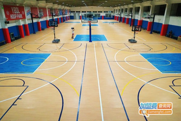YBDL青少年篮球培训加盟门店