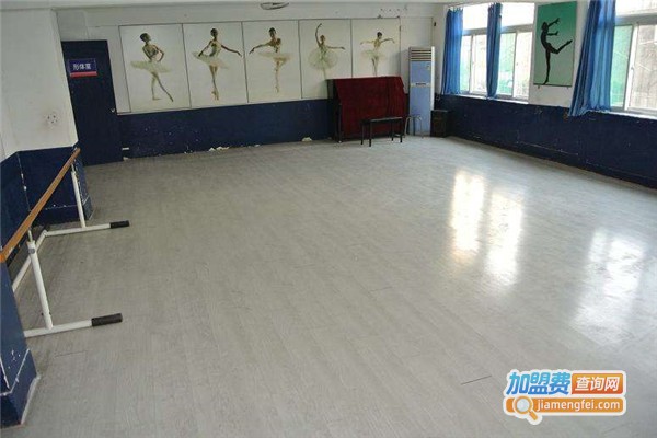 泉龙艺术学校加盟费