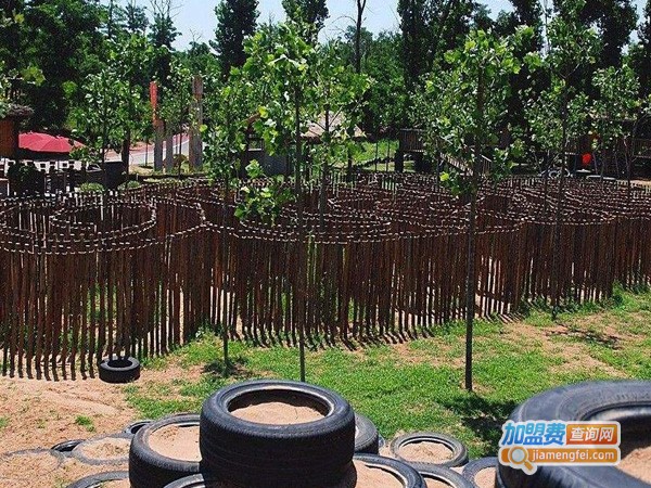 森林儿童乐园加盟费