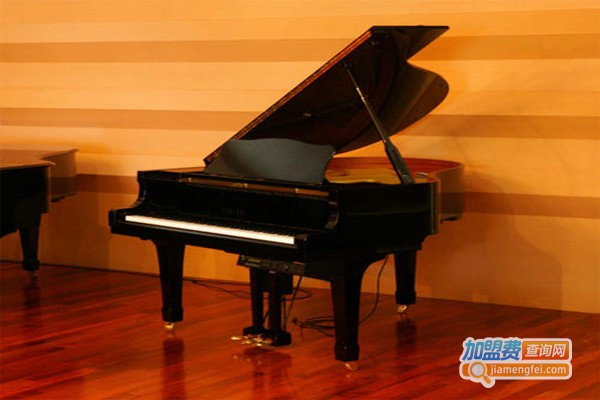 琴童之家加盟费