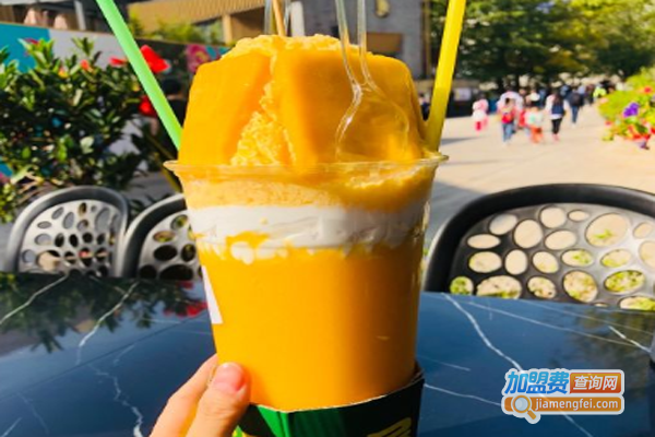 NICELEE丽茶加盟费