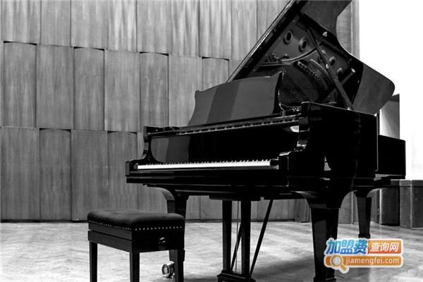 佳音钢琴加盟费