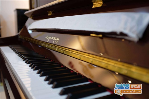 培艺琴行加盟费