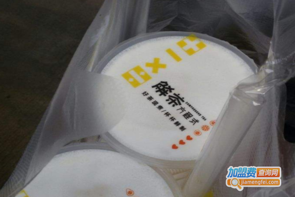 解茶方程式加盟费