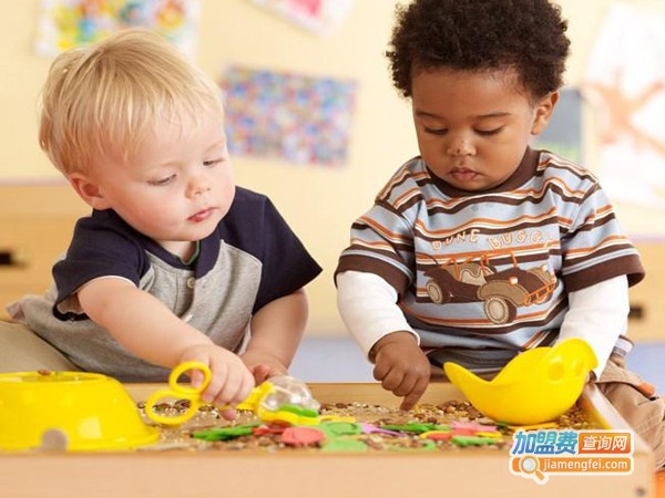 爱国者哈比熊加盟费