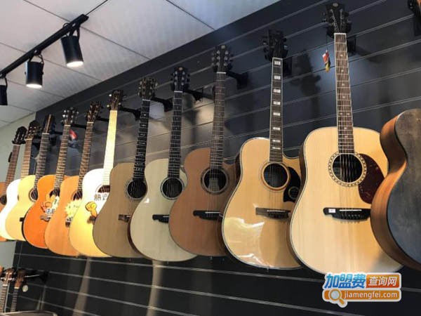 天乐琴行加盟费