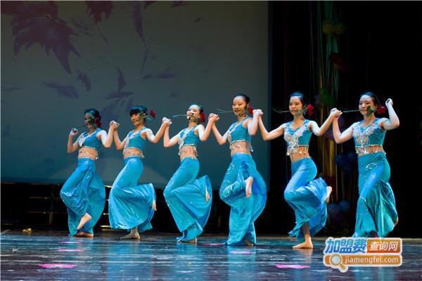 红菱舞蹈加盟费