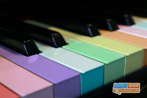 韵声琴行加盟费