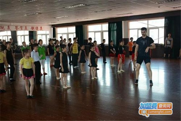 华嘉舞蹈学院加盟费