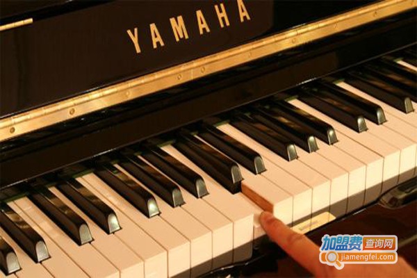 琴童之家加盟费