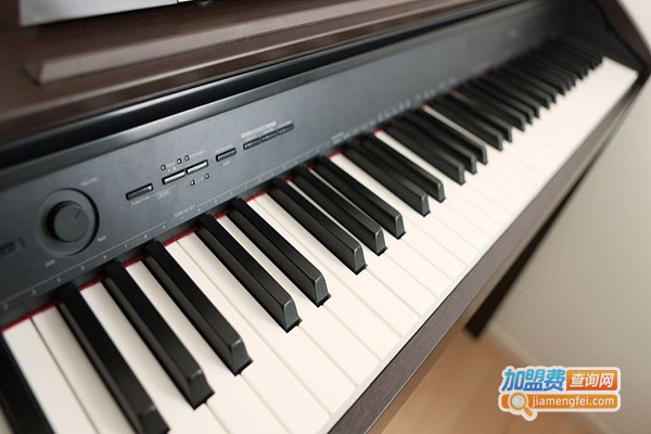 美育琴行加盟门店