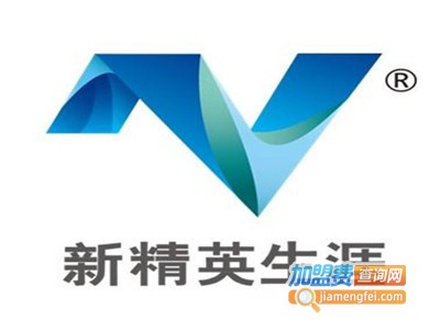 新精英国际英语加盟费
