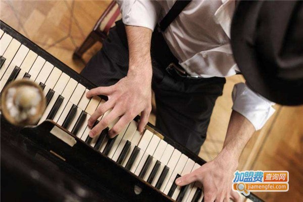 若芽音乐加盟费