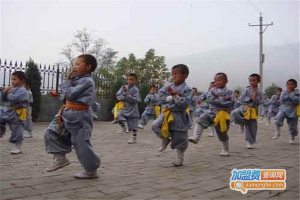 少林武术培训加盟