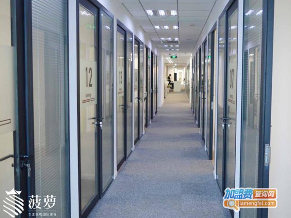 菠萝在线加盟费