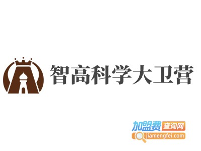 智高科学大卫营加盟费