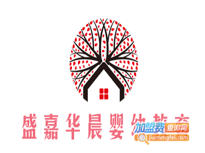 盛嘉华晨婴幼教育加盟费