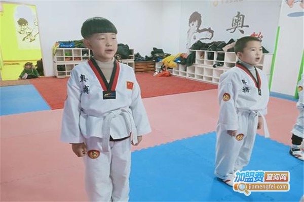 奥搏跆拳道加盟费