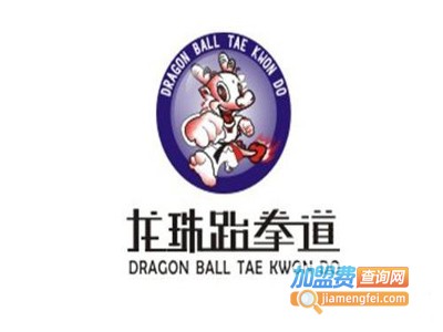 龙珠跆拳道加盟