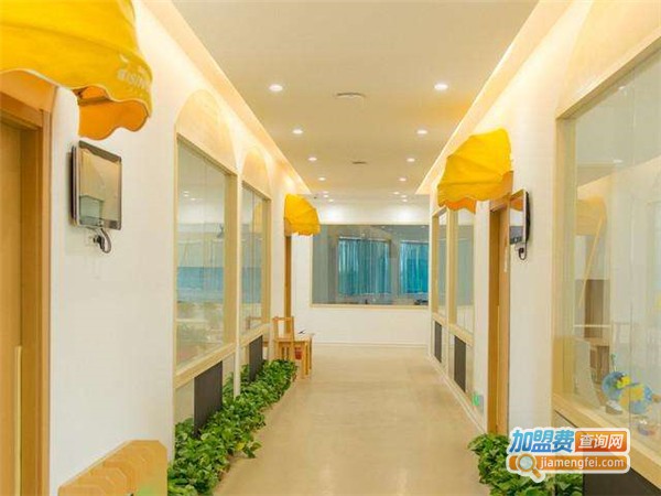 维兹堡国际早教加盟费