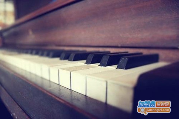 韵声琴行加盟费