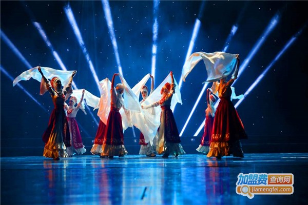 乐舞艺术加盟费