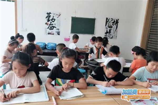 金凤凰教育加盟费